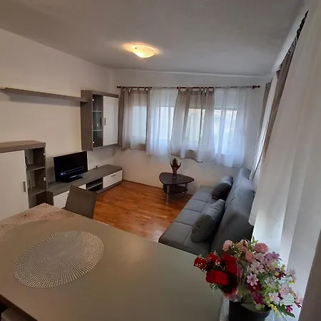 Opremljen Apartman Sa Balkonom I Netflixom アパート *